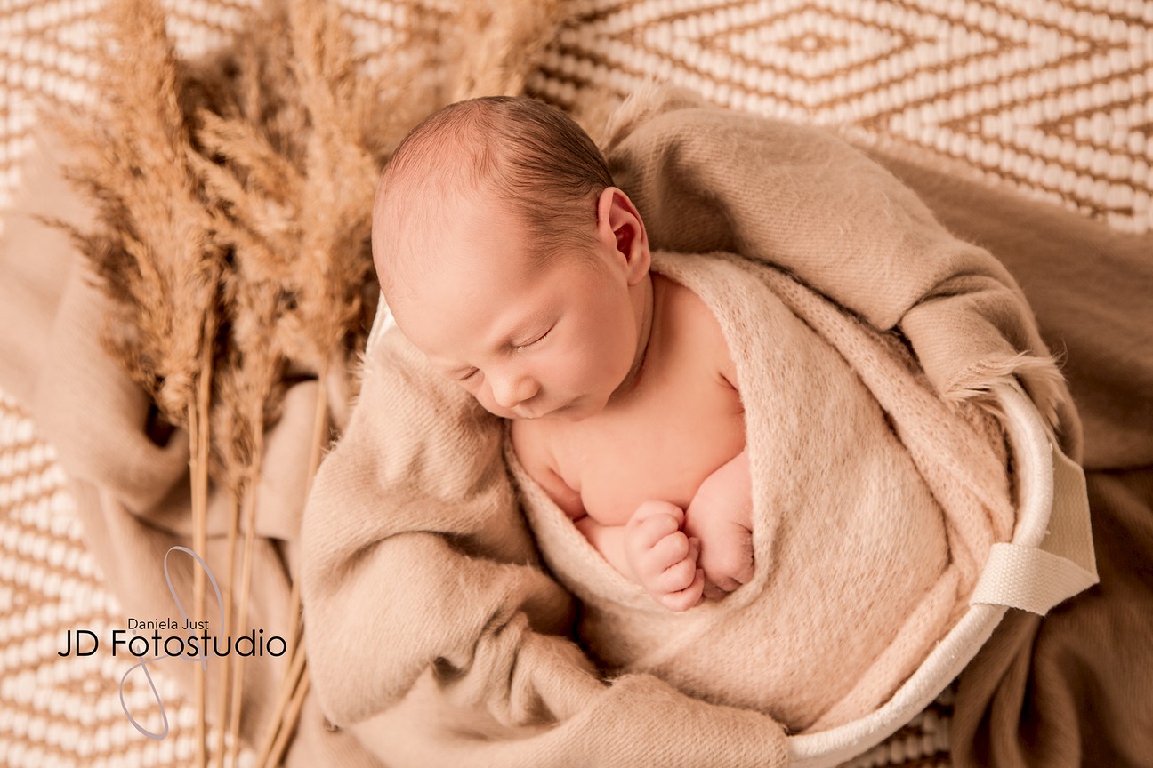 Newborn