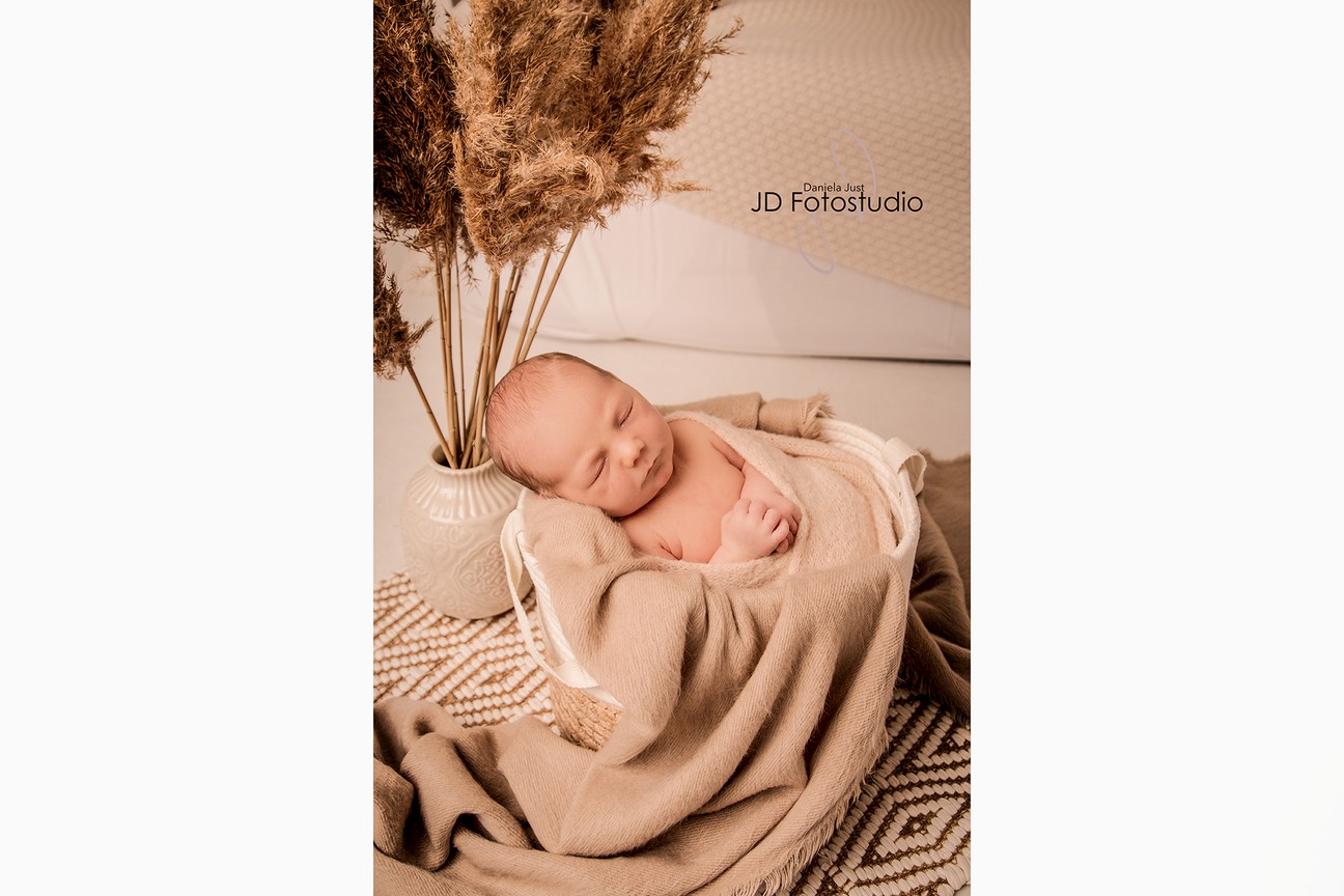 Newborn